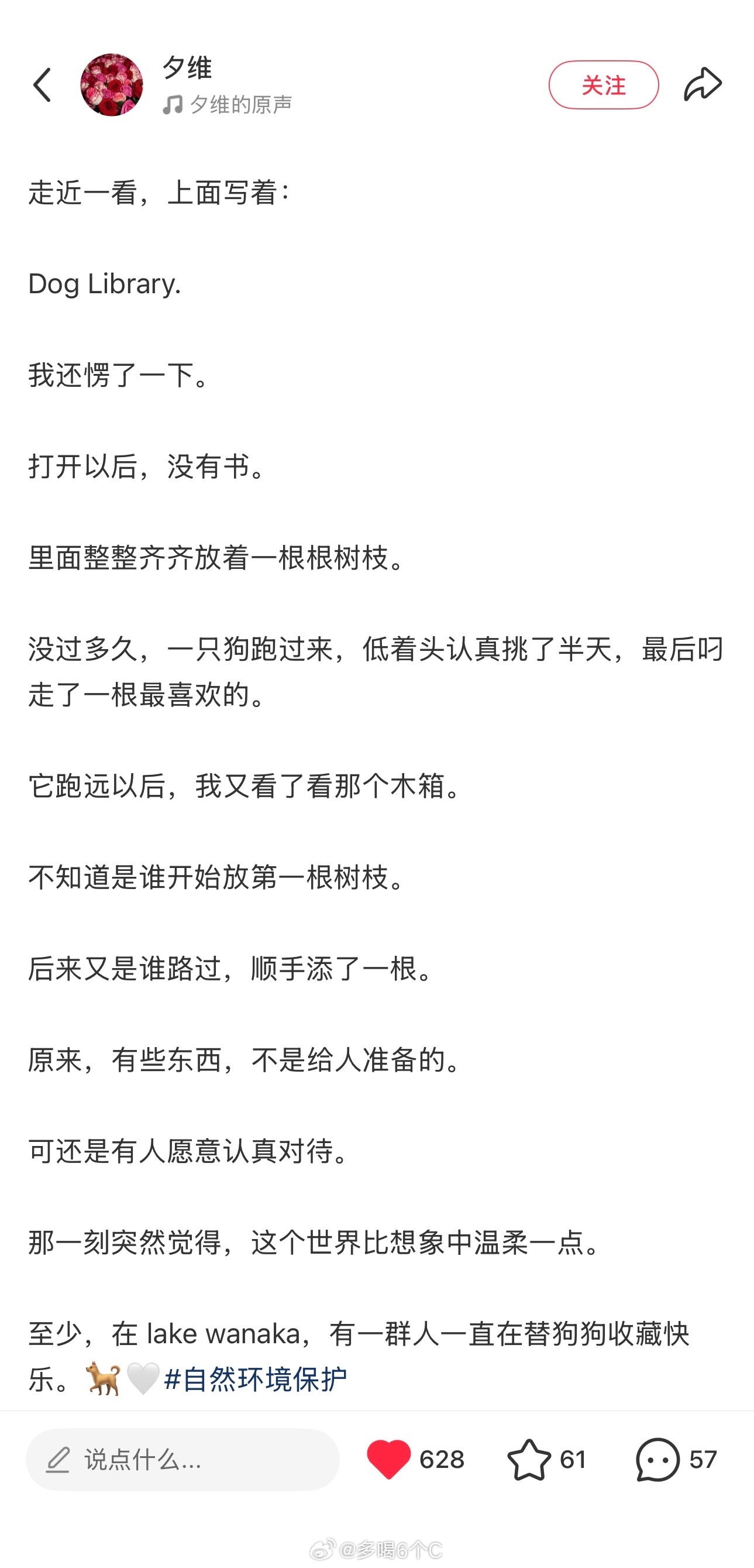 原来还有狗狗的木棍图书馆每天都需要看点这些来原谅世界