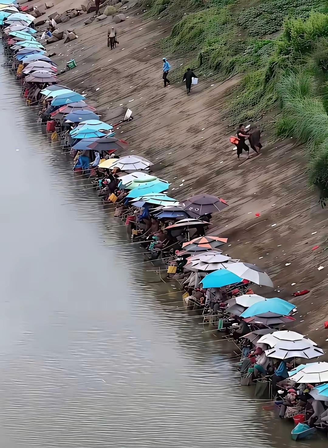 是个好地方，
淘金的发不发财不知道。
买渔具的肯定生意错不了。