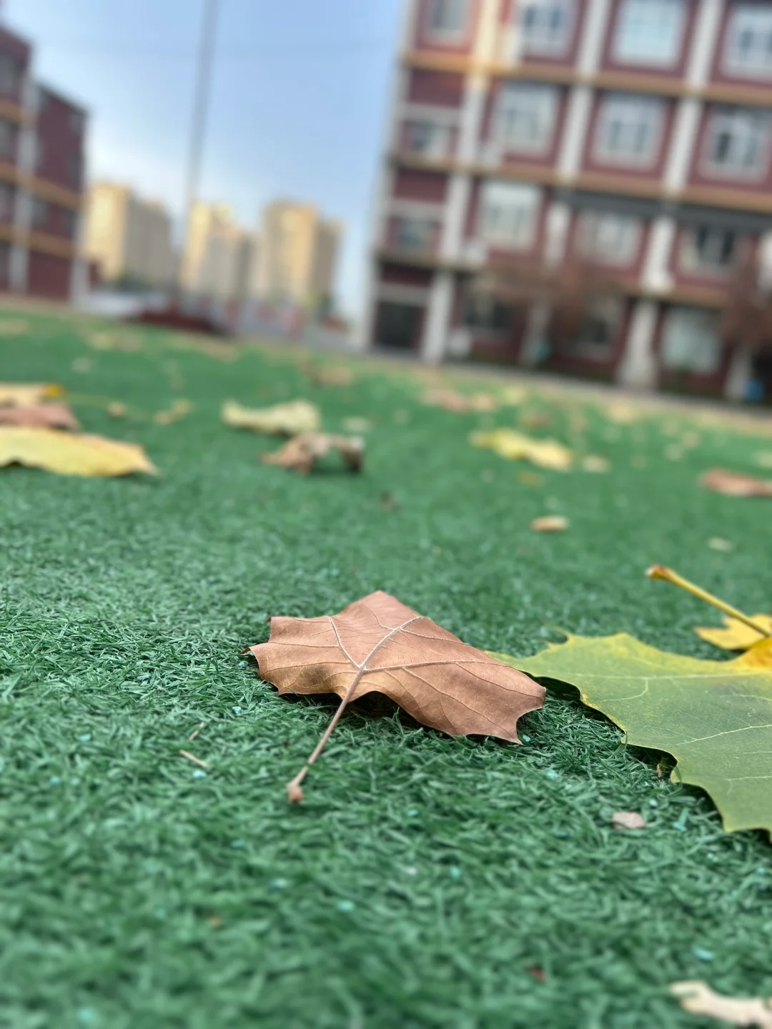 ❄立冬文案️18句立冬发的温暖治愈朋友圈文案