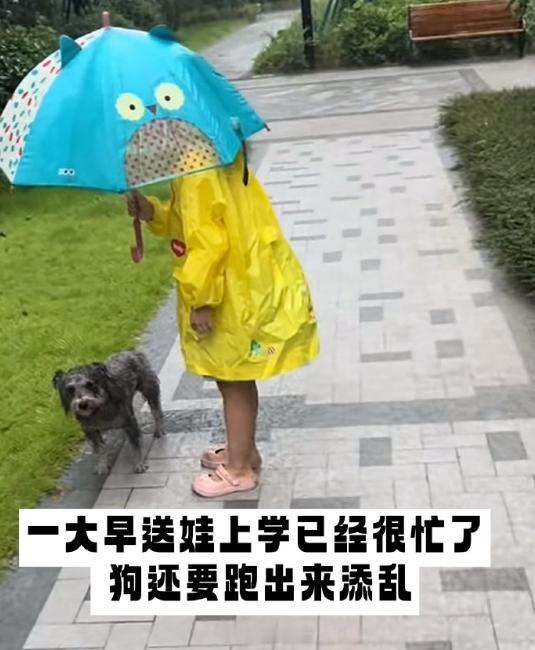 养狗家庭有自己的跟屁虫[哈哈] ​​​