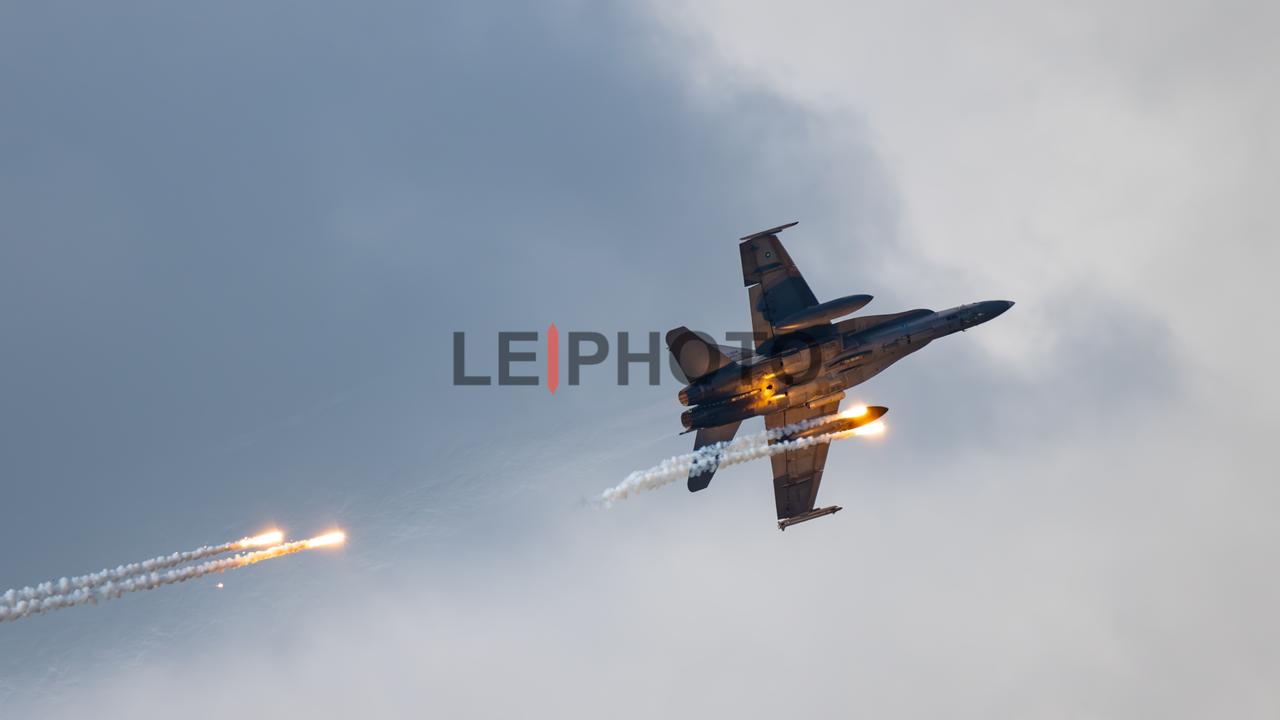 虫子老了，但还是挺耐看的。