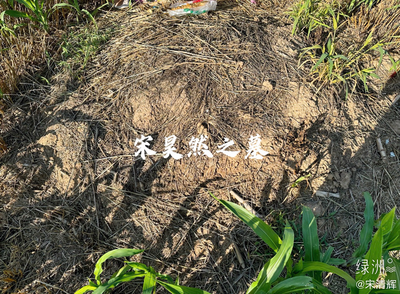 总在记忆里  （1595）：回不去的河南，虽然我把孩子埋葬在那里。宋昊然大画家 