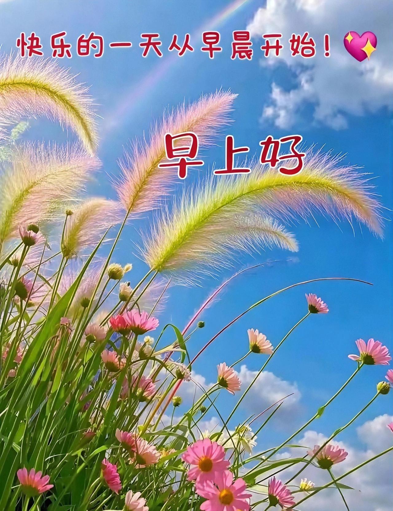 粉黛草在蓝天下摇曳起舞，彩虹悄然掠过长空。活力充沛的一日就此开启，早安！
早安图