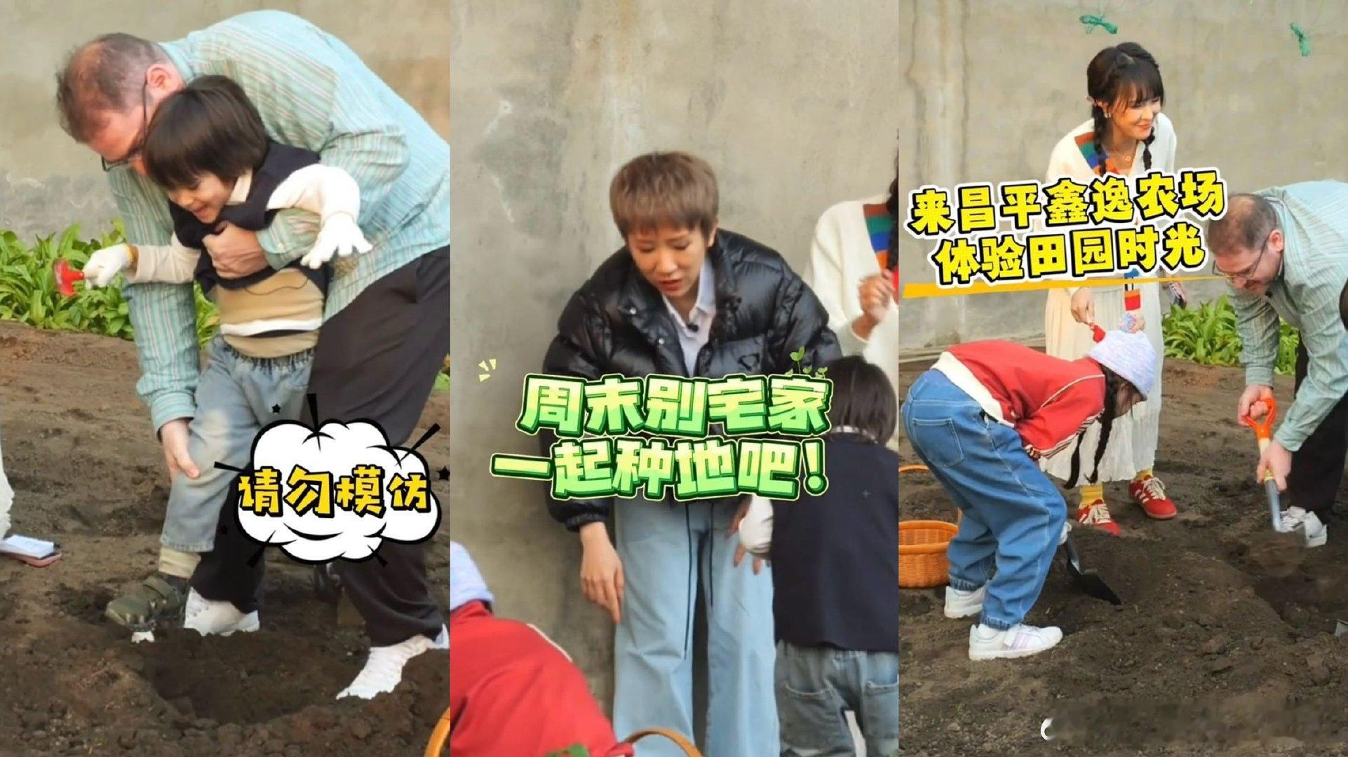 差点以为这综艺录的种地吧幼年篇 张拿铁在《乡约食光》种地，直接被萌化！挥铲子、挖