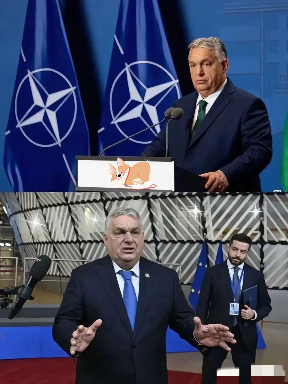 摊牌了！匈牙利这波表态太硬核

最近匈牙利直接亮明对华立场，把中国地位说得明明白