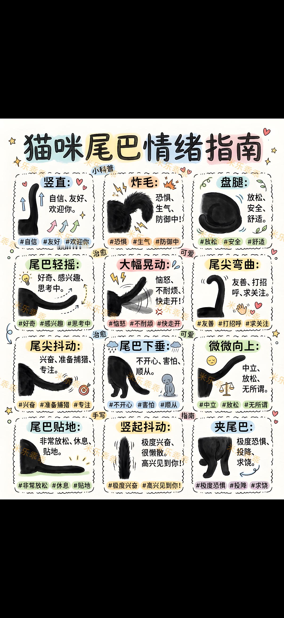 猫咪尾巴会说话!一图秒懂猫咪心情主子的尾巴一动，全是想对你说的话新手铲屎官快码住