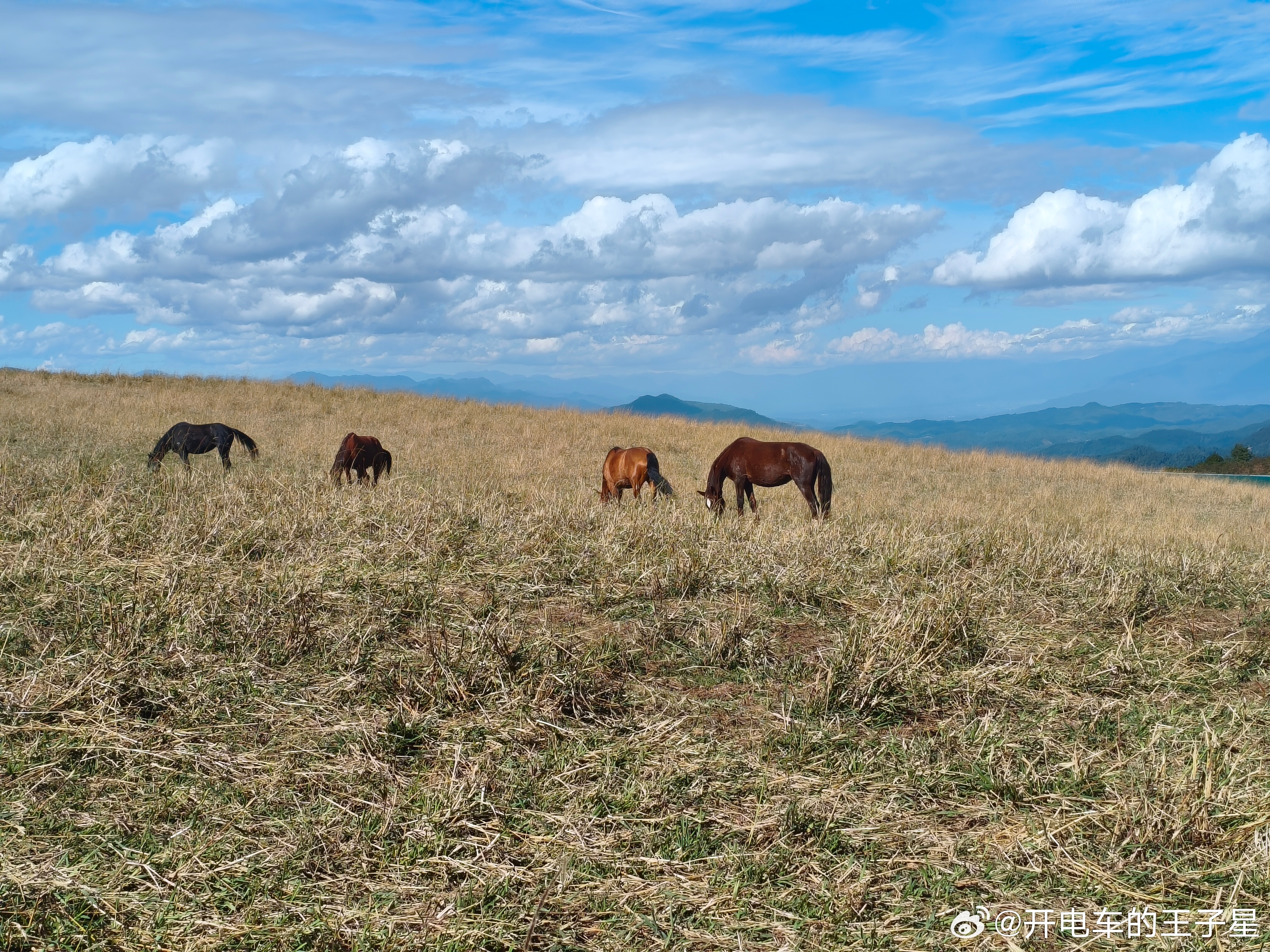 我和汽车的日常大v聊车 这两天密集的发布会感受最深的一点，KOC时代真的要结束了