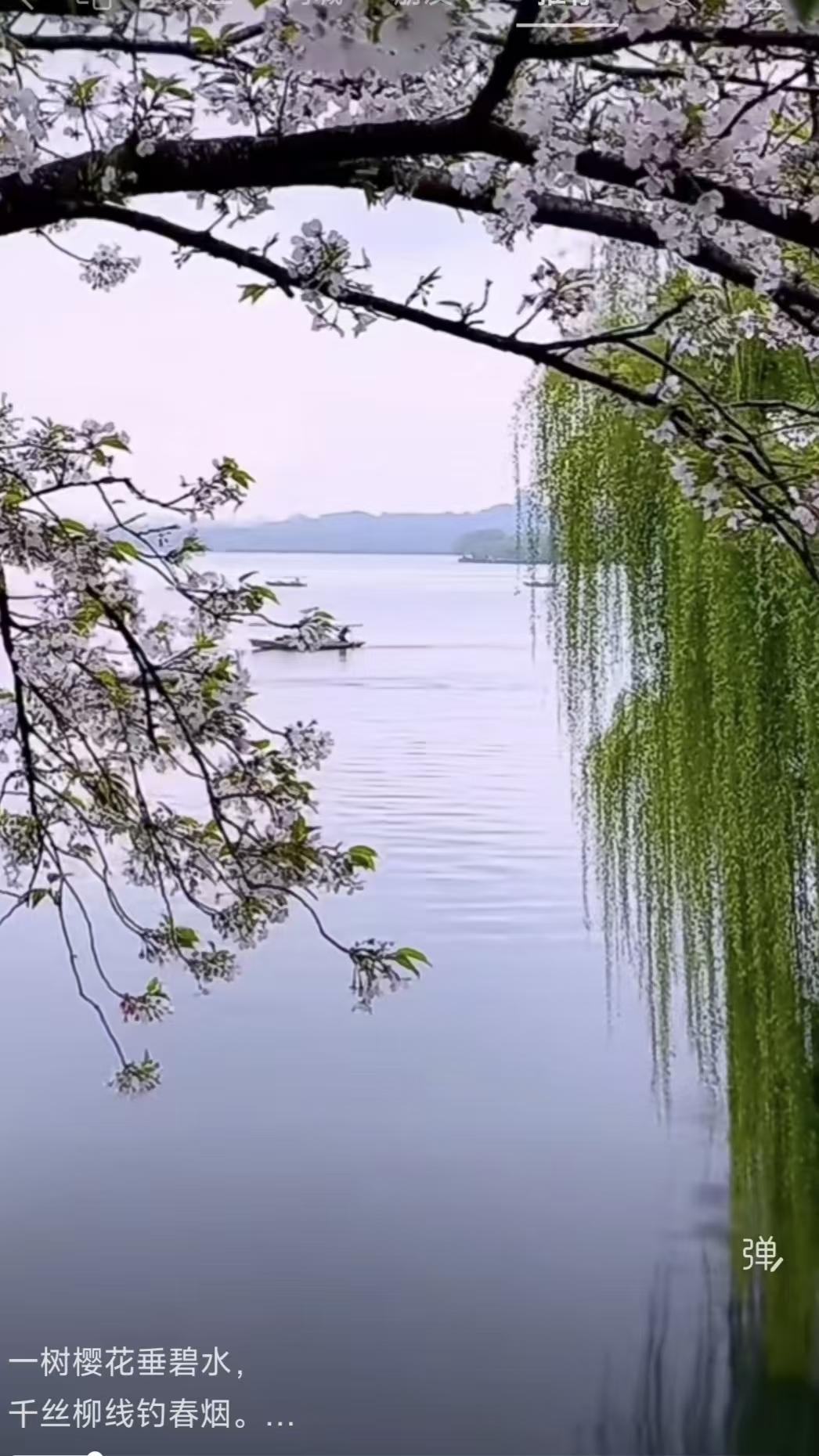 捣练子·画春
樱绽影，柳丝牵。
远山如黛水如笺。
一叶轻舟波上泛，
镜中光影碎成