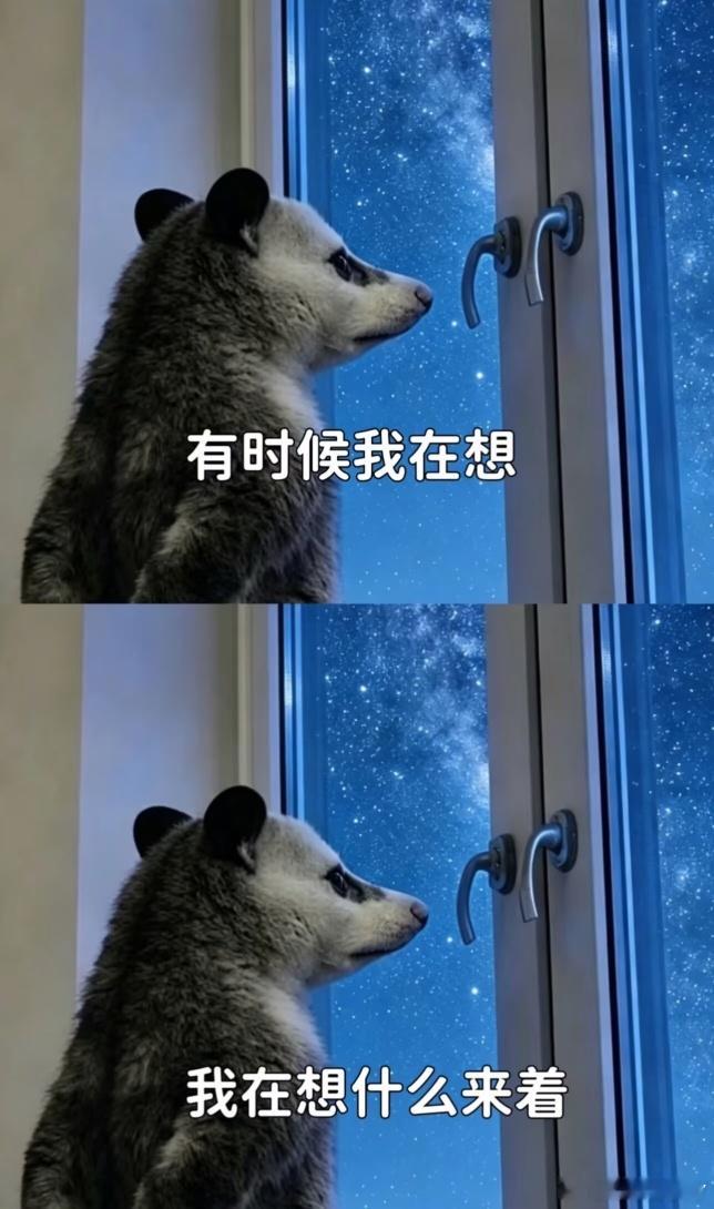 又是飞机✈晚点的一天屁股坐疼了眼睛👀看花了妈呀！上海的天都黑下来了啥时候能飞呀