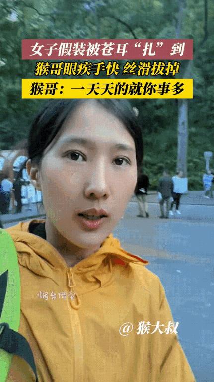 “被迫营业的猴子？”贵州一景区内，一只猴子悠闲蹲在石块上晒太阳，游客女子突发趣味