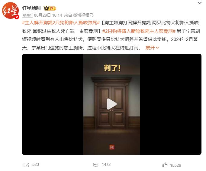 主人解开狗绳2只狗将路人撕咬致死，狗主人因犯过失致人死亡罪一审获缓刑，在这起案件