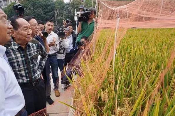 “这简直天理难容，必须严惩不贷！”当央视新闻在 4 月 14 日曝出那起令人震惊