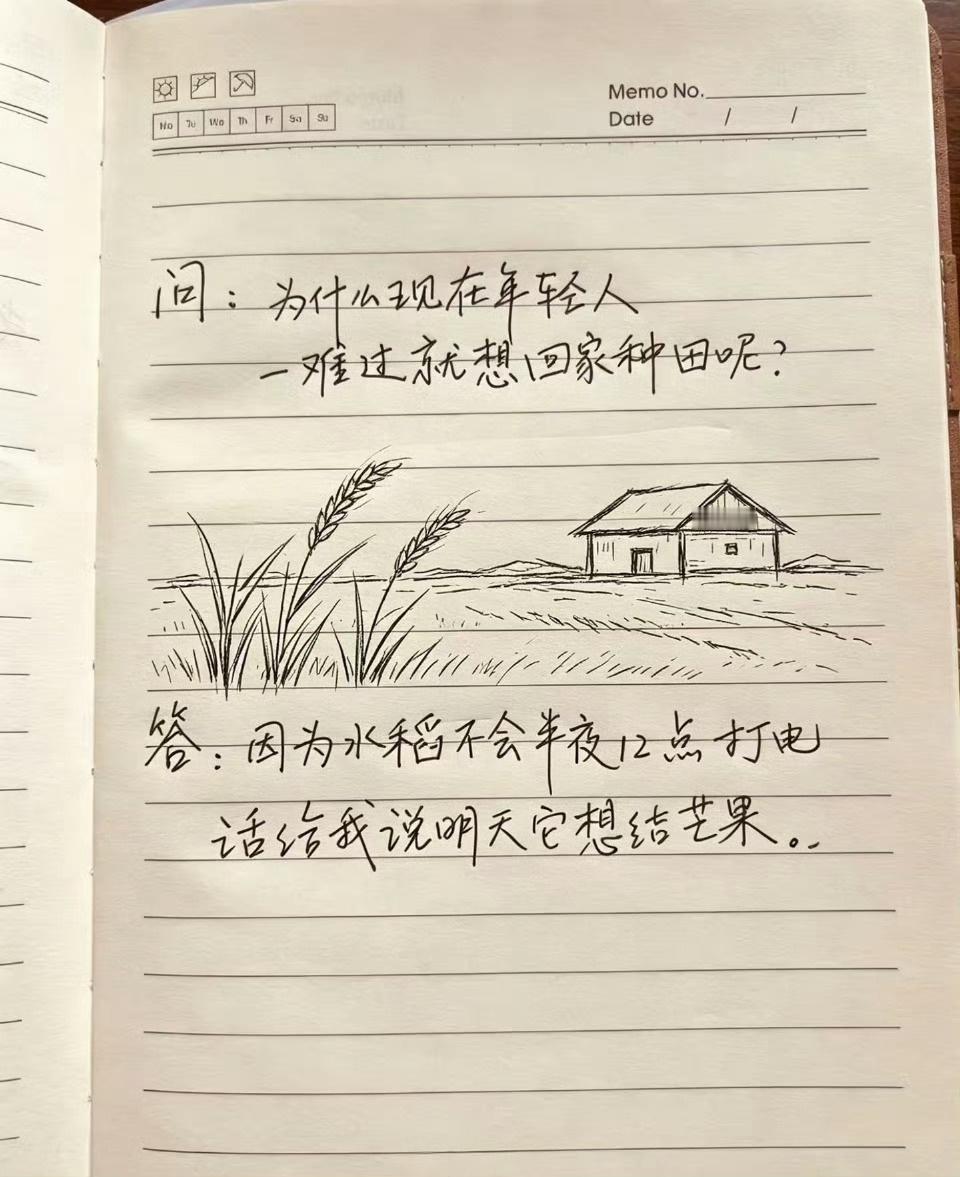 为什么现在年轻人一难过就想回家种田？
答案：因为水稻不会半夜 12 点打电话给我