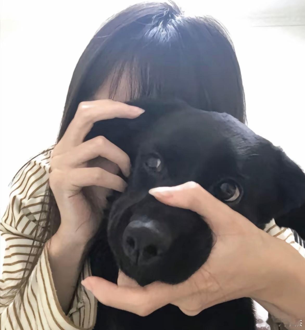 看市场表演，留下精彩瞬间～～～炒股切忌贪婪，不要奢望卖在最高点的！（今天你的股票