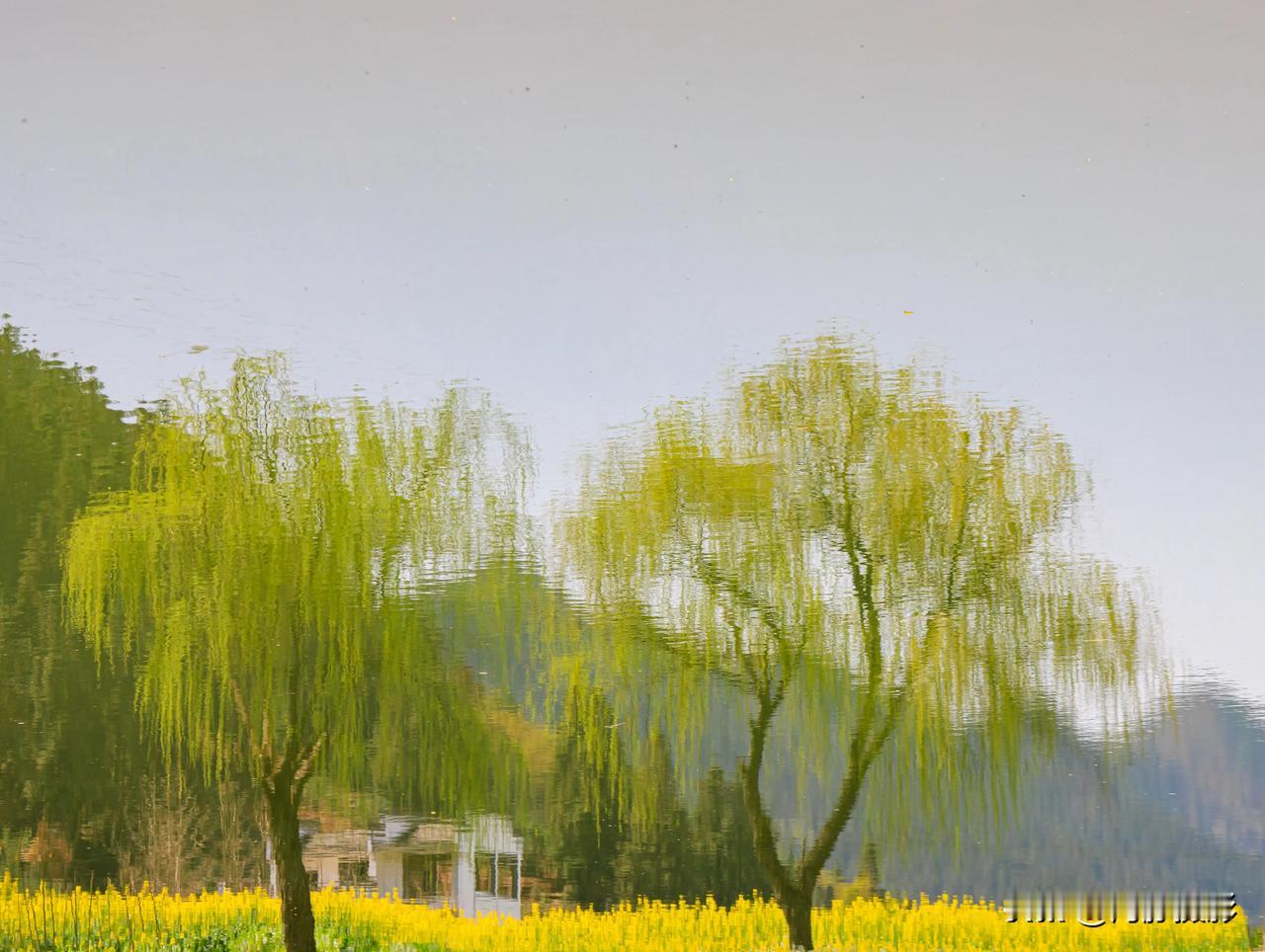 婺源的水多，乡村的水美，水中景很迷人