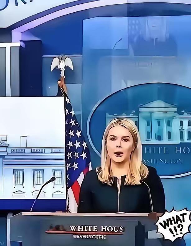 美国被中国再度拒绝了，美国官员很沮丧。
​​为啥呢？因为他们发现，中国不想在芯片