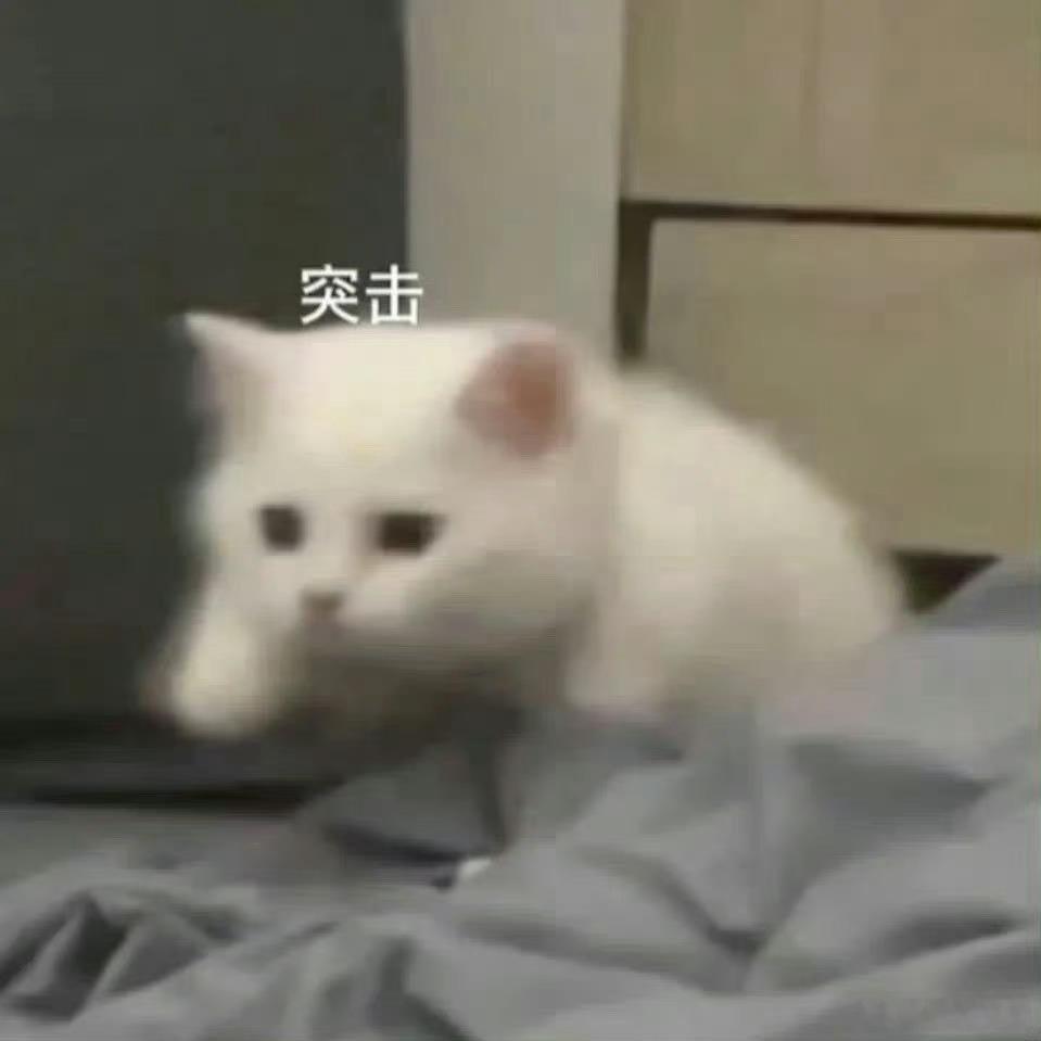 #最帅升旗手为什么回乡做新农人#这就是当代年轻人，给这位小伙子点赞！用自己实力回