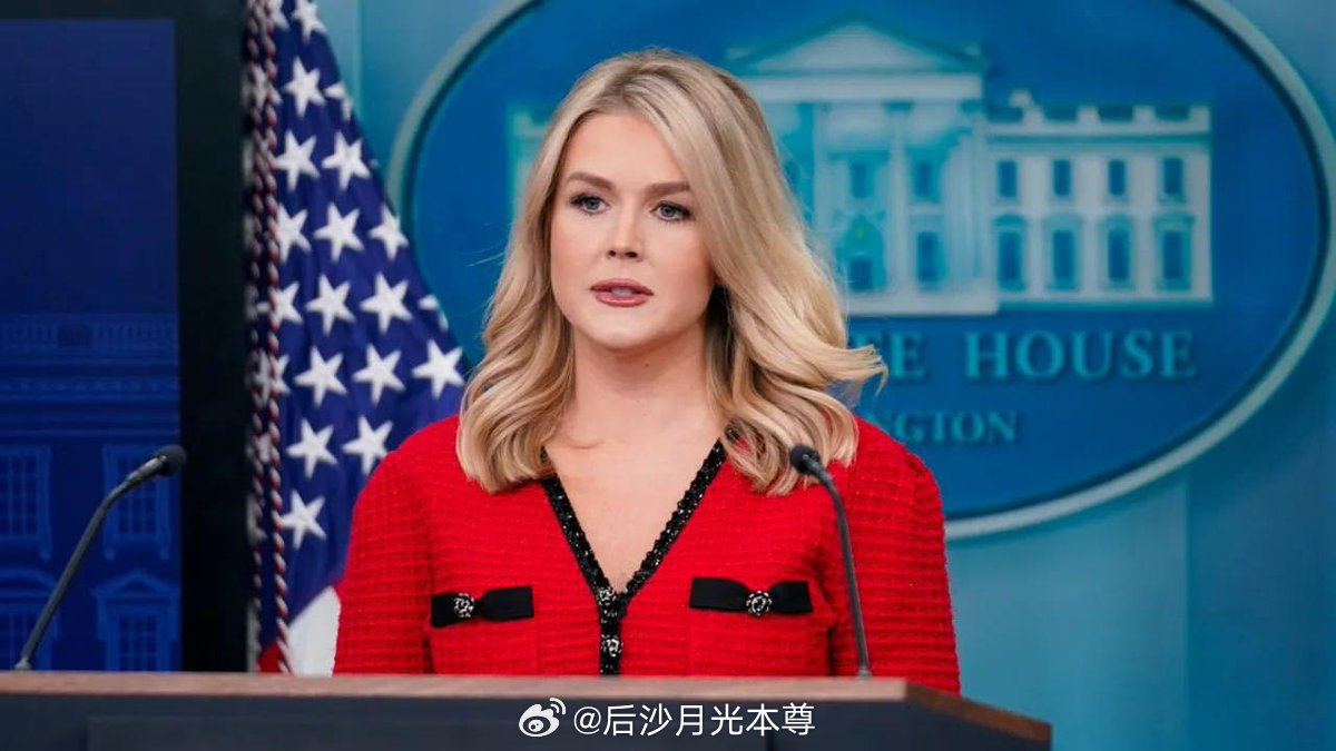 白宫新闻秘书罗琳·莱维特表示，美国将不再向乌克兰提供军事援助。这一决定是在泽连斯