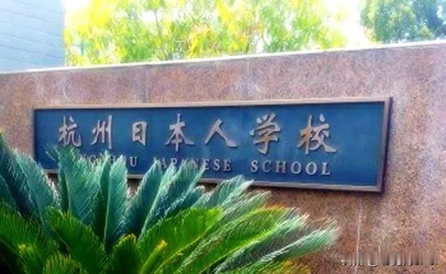 警惕隐蔽渗透风险，做实外籍子女学校监管
 
　　最近著名学者高志凯再一次提出，要