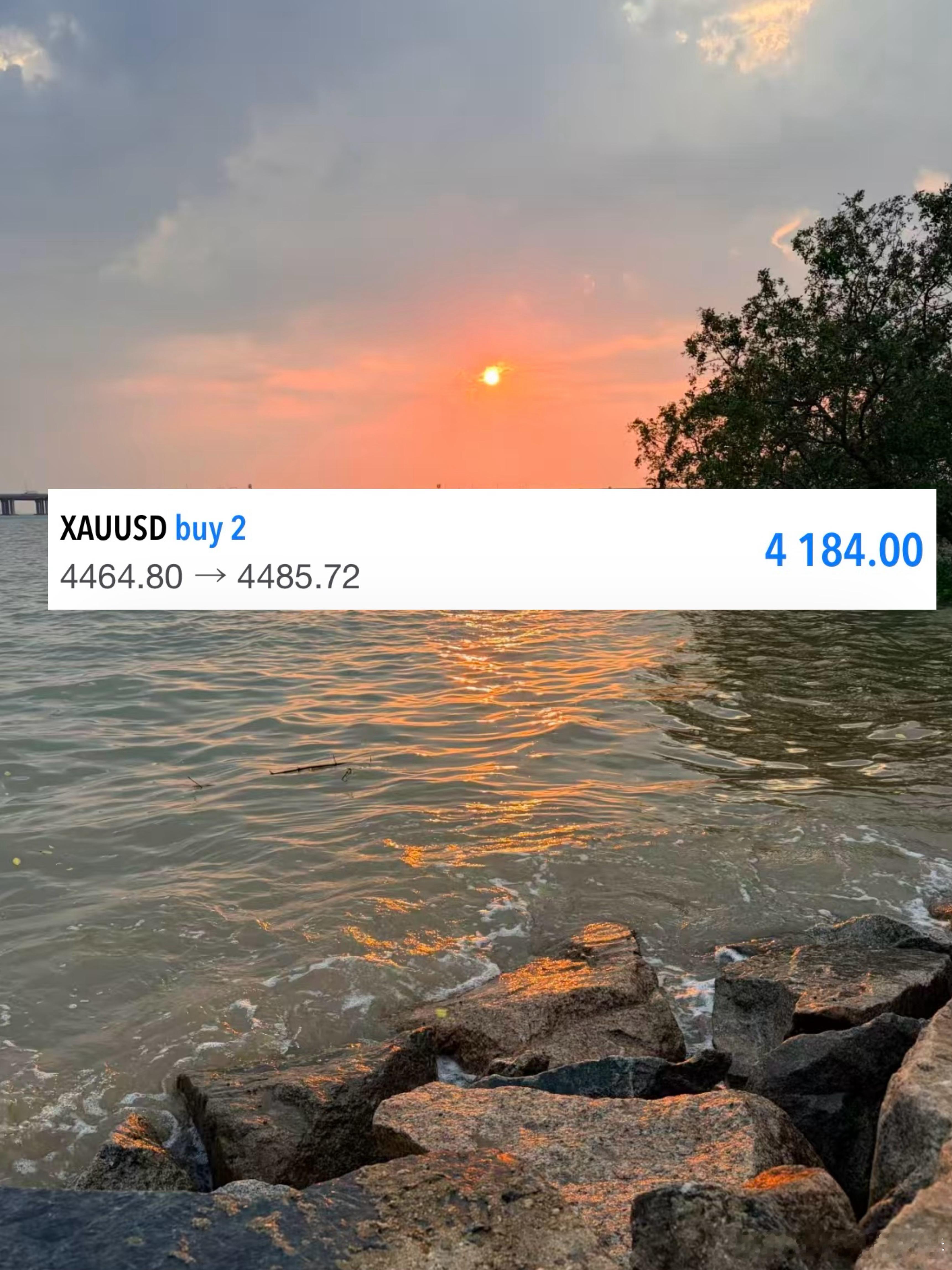 黄金，午间策略4460布局的多，起涨点刚好不偏不倚正式4460，一路高歌猛进，涨