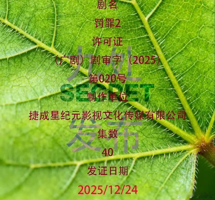 罚罪2 昨天极限过审 