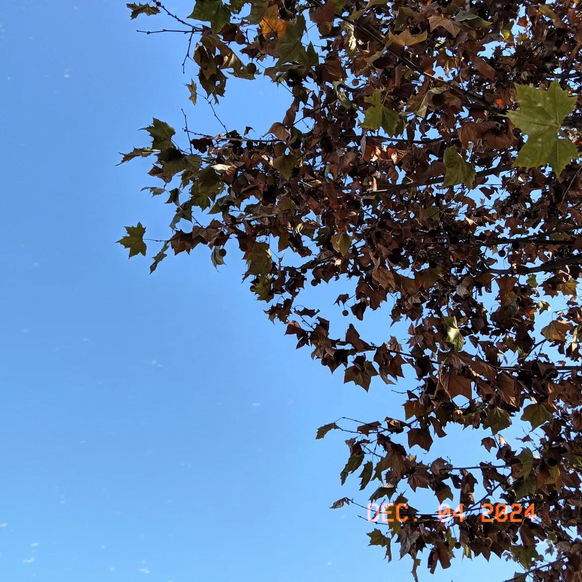 今天星期三，12月4号，看天气不好外面冷吗？
还是带孩子出去溜达一圈，楼下的啊姨