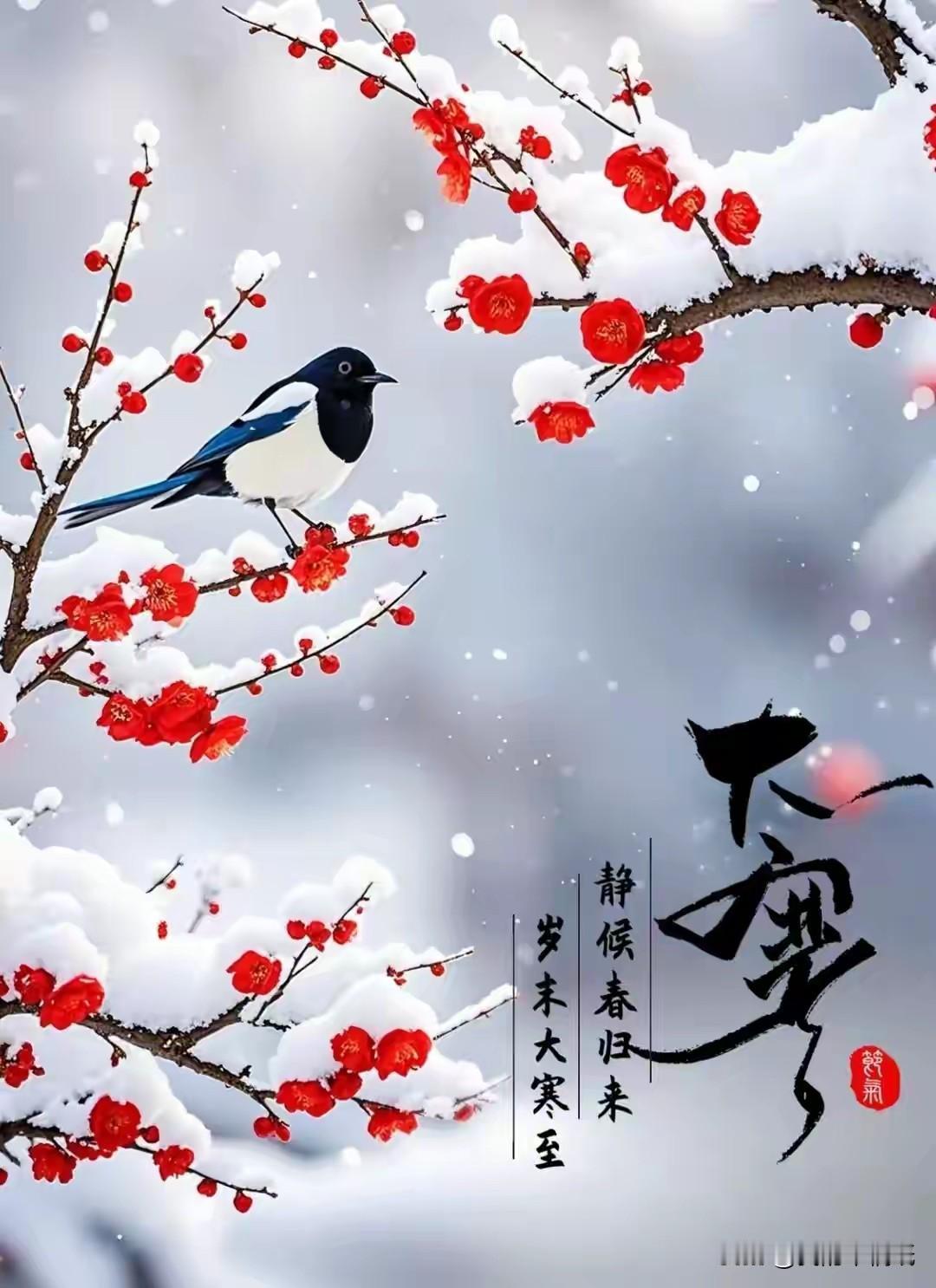 谁说大寒不寒？青海人笑了！西宁人也笑了！

今儿是大寒，是二十四节气里最后一个节