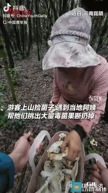 两名游客上山捡菌子，偶遇一位当地阿姨，就让阿姨帮忙挑毒菌，不料阿姨拿起菌子哈哈大
