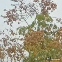 真正的美，是你既要有对内心的审视，更要有对梦想和未来追求的勇气和行动，只有这样，
