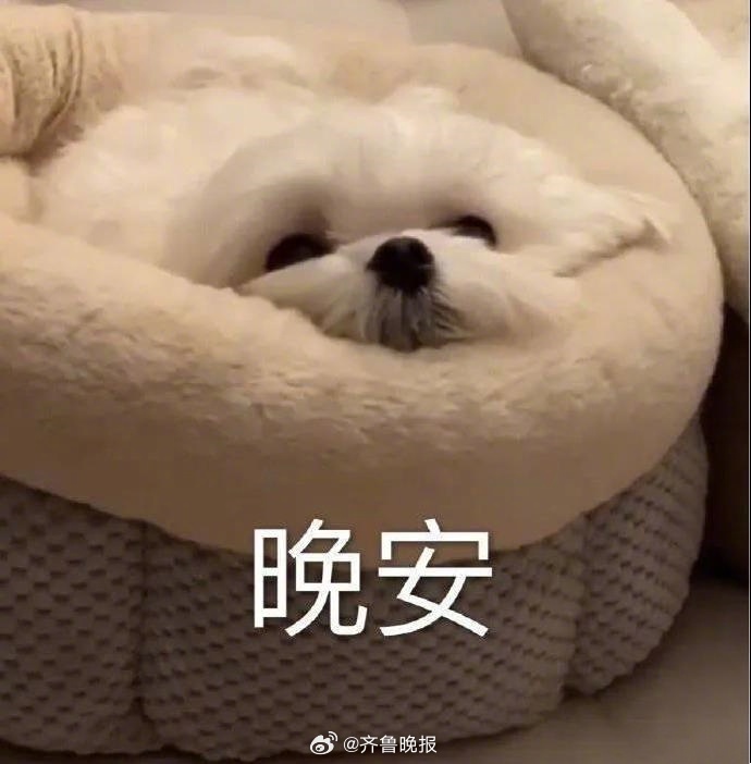 不后悔去追求自己应得的，也不害怕失去后继续寻找。#晚安# ​​​