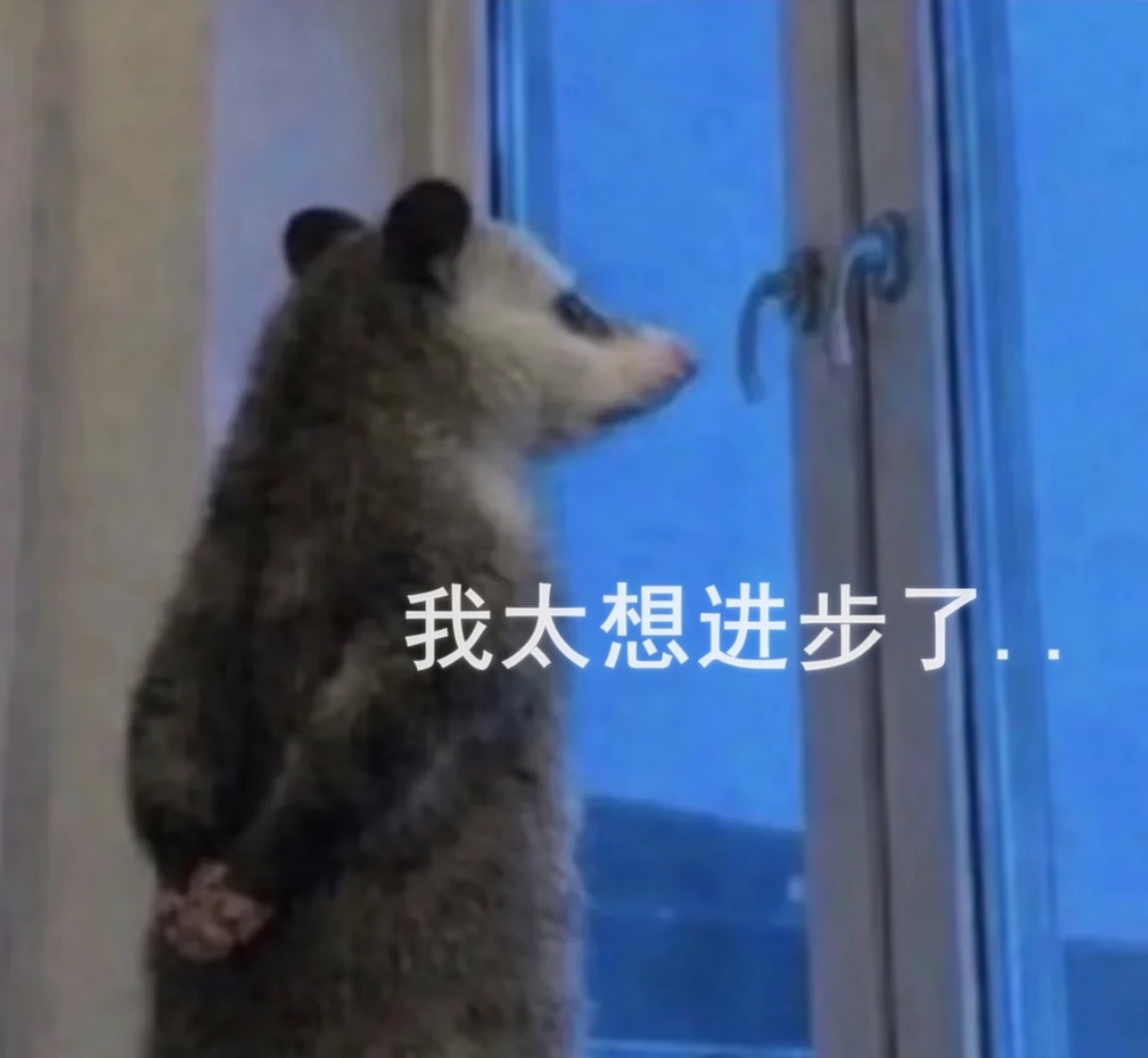 我真长大了 