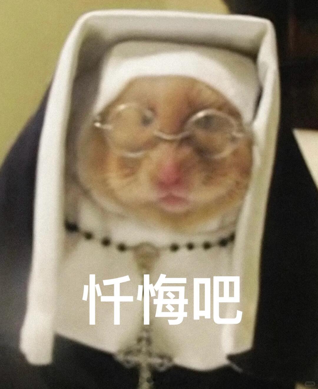 我续完🔥了 
