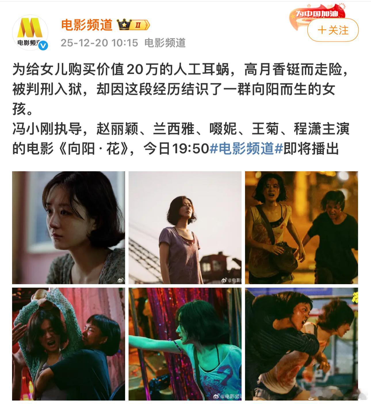 赵丽颖《向阳花》今晚19:50在CCTV6播出 好的电影值得反复观看