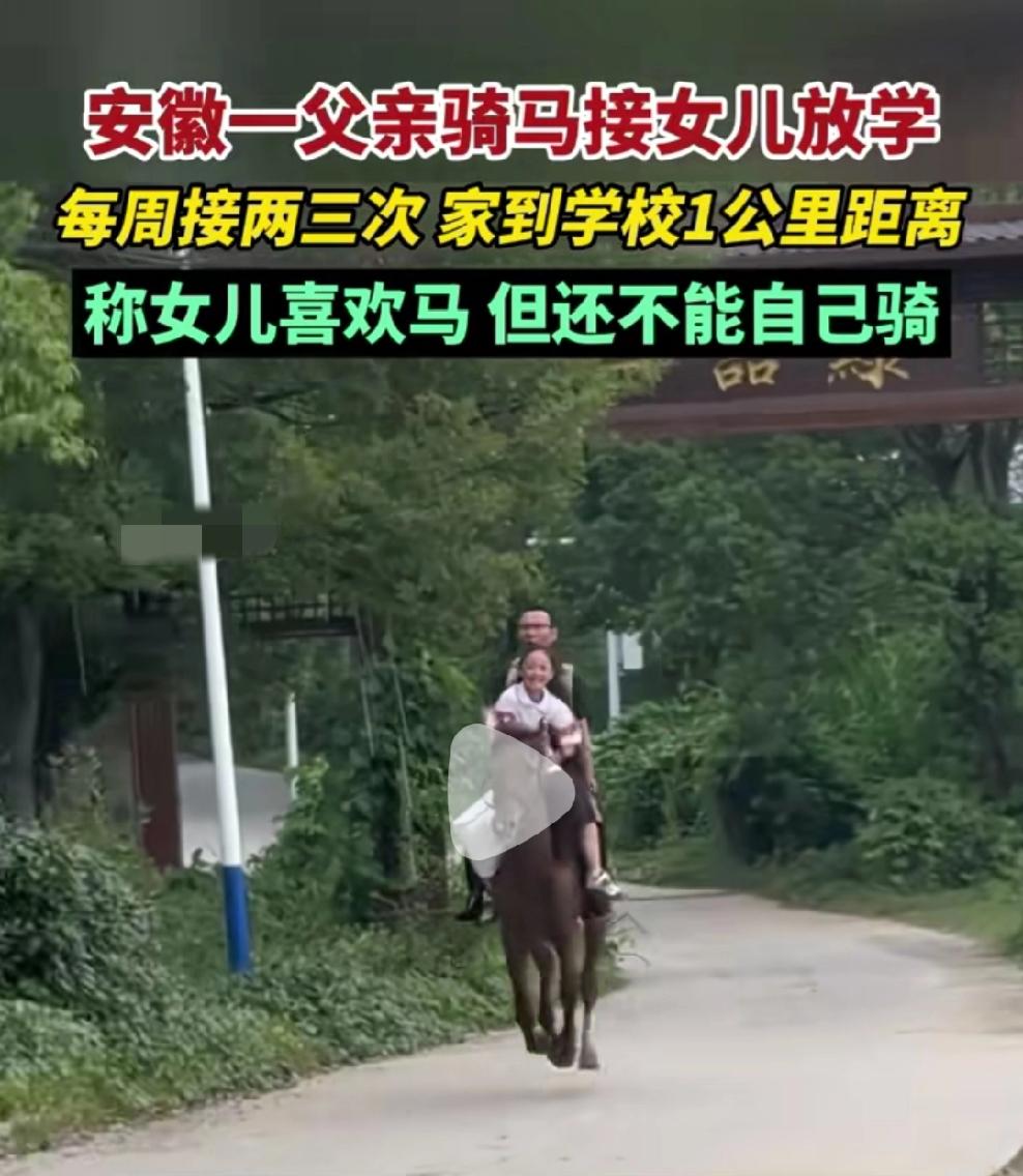 安徽一位父亲骑马去学校接女儿放学，放学后女儿坐在老爸身前，笑得好开心，像童话里的