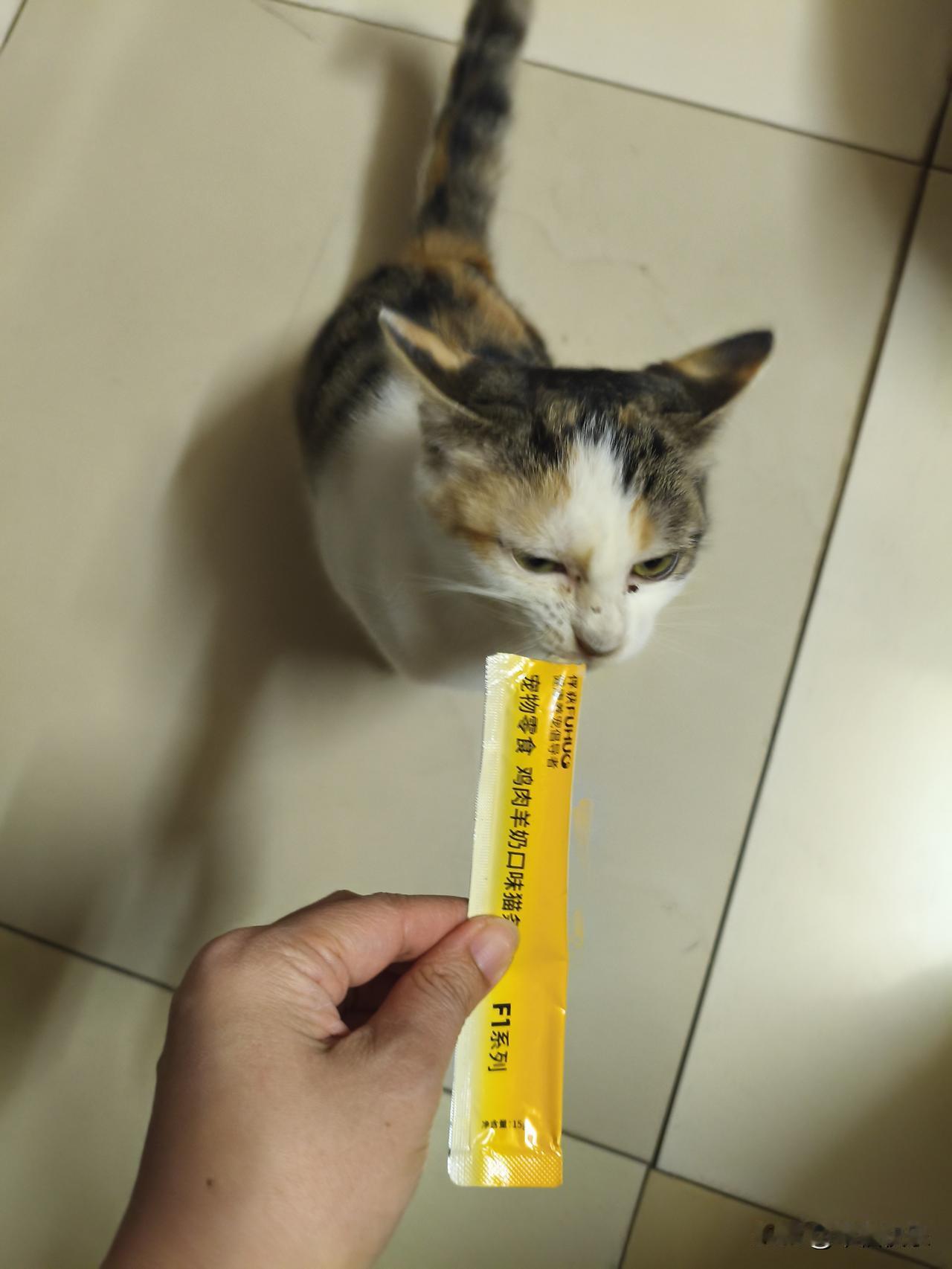 2025.11.30
——薅羊毛


2025年12月1日～2026年1月31日