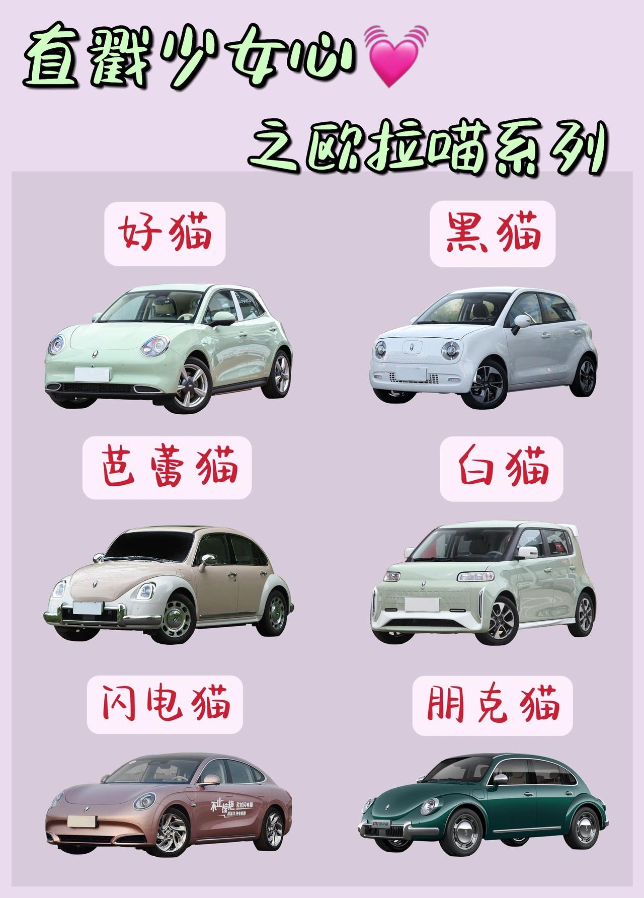 戳中心巴的可爱系列颜值配色天花板欧拉猫
欧拉太懂女性审美啦～不愧是国产少女收割机