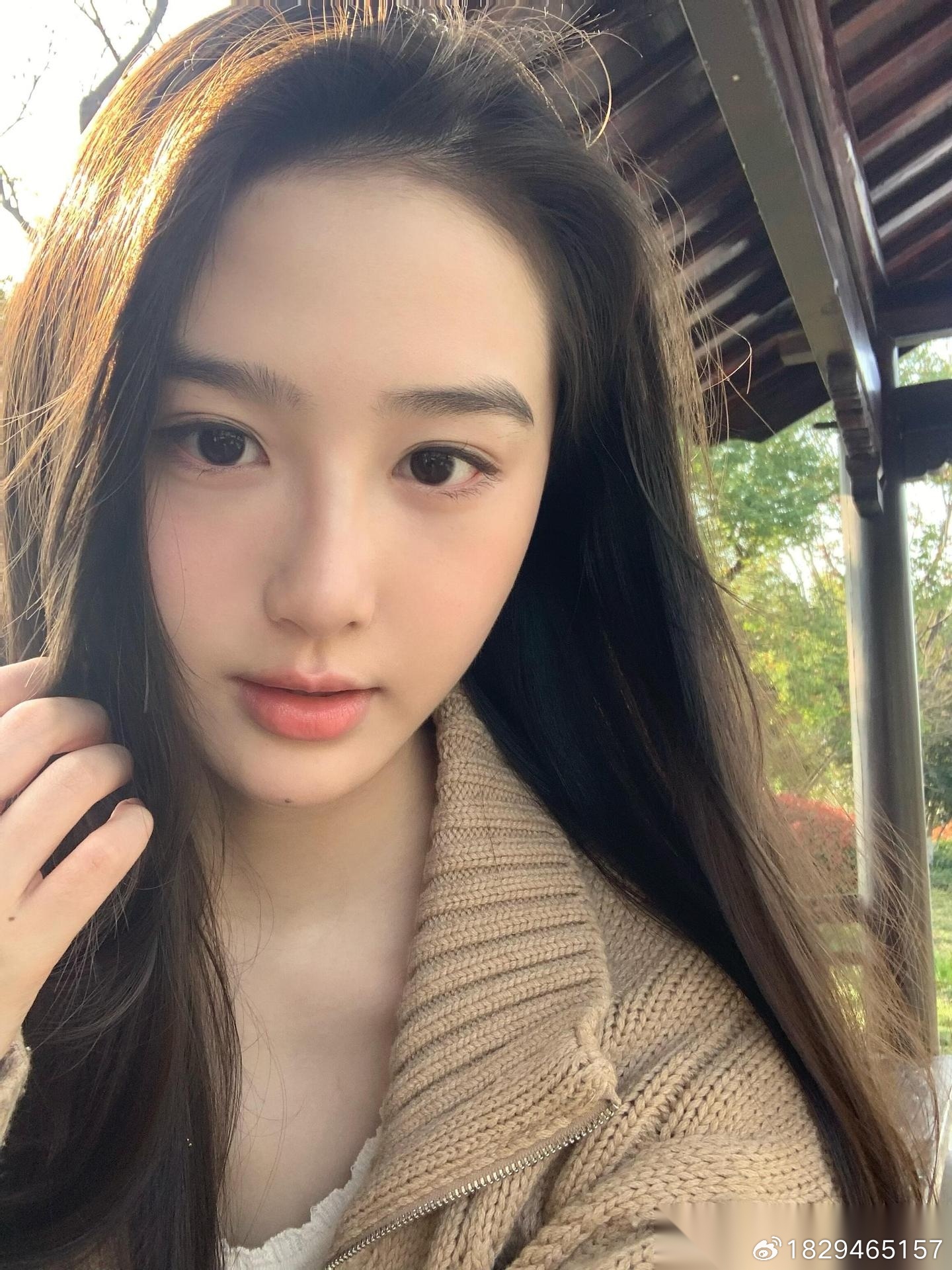 喜迎 
