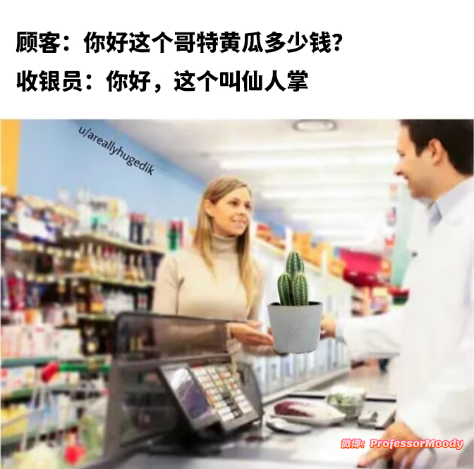 刺猬是不是就是哥特老鼠🤔#meme# / #笑料江湖争霸赛# ​​​
