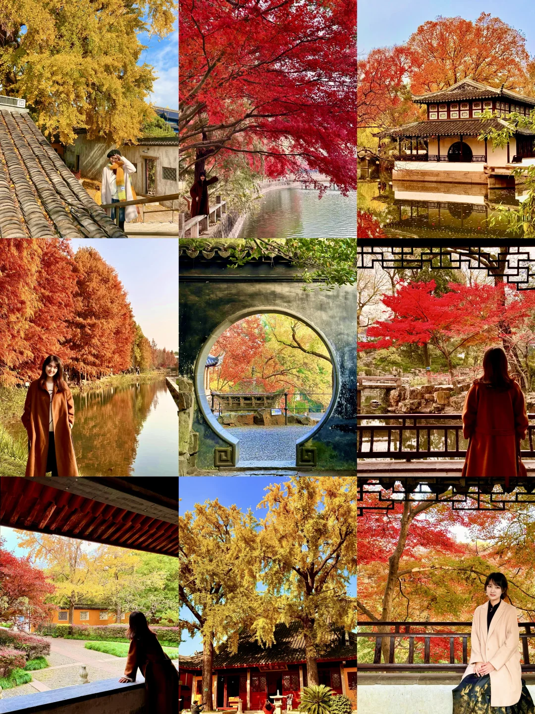 连续四年来苏州赏秋❗️超全赏秋路线&时间🍂