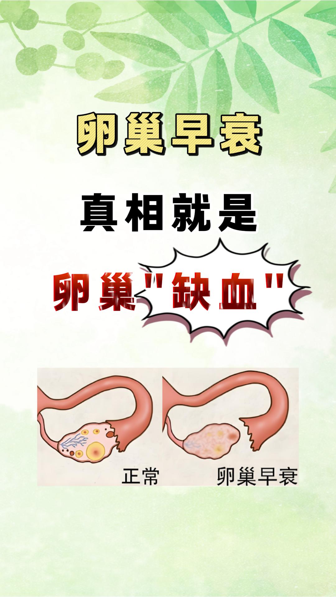卵巢早衰 women的健康我们帮 抖出健康知识宝藏 月经