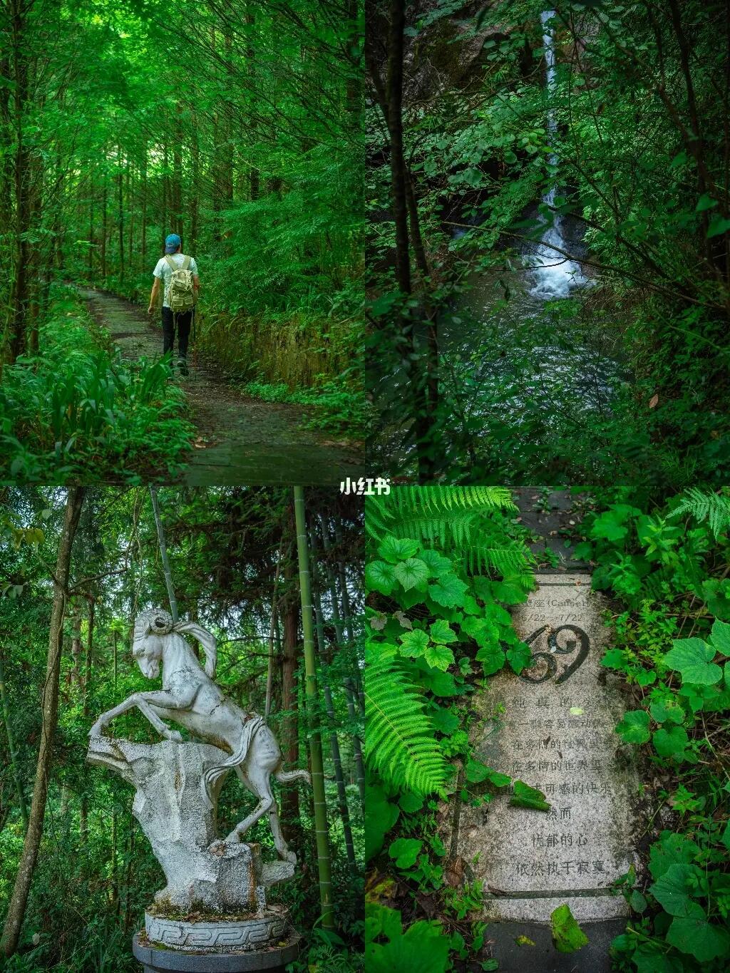 成都🌿超冷门星座森林徒步玩水，清凉不累