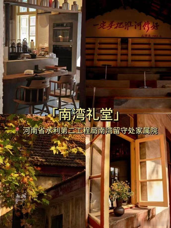 河南信阳的鱼丸拖着一条小茶尾 像鱼又像梨的鱼丸 信阳南湾湖畔，茶香鱼丸超绝！精准