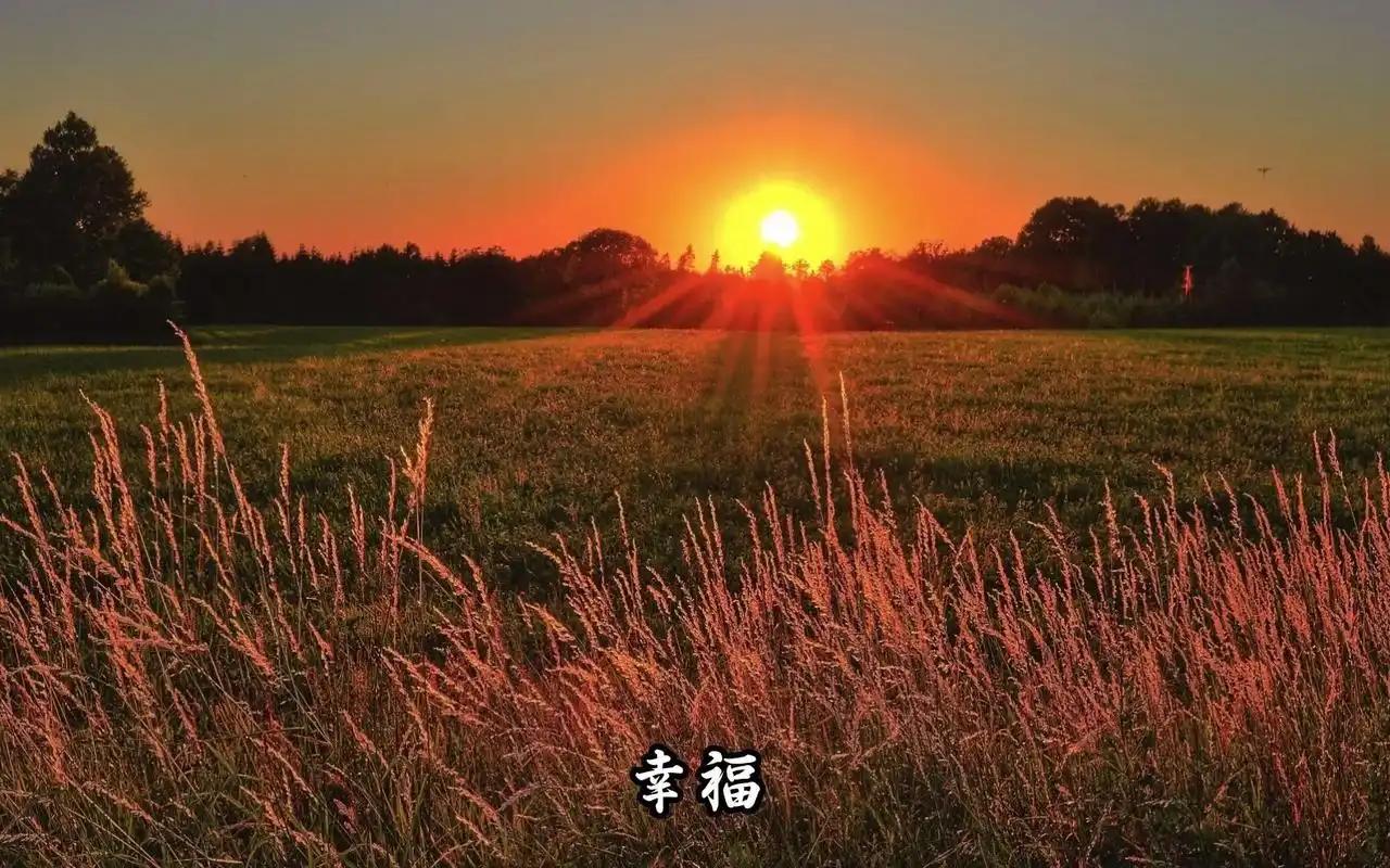 中国发展到了什么程度?
14多亿人口 没有宗教冲突，没有民族歧视，没有种族冲突。