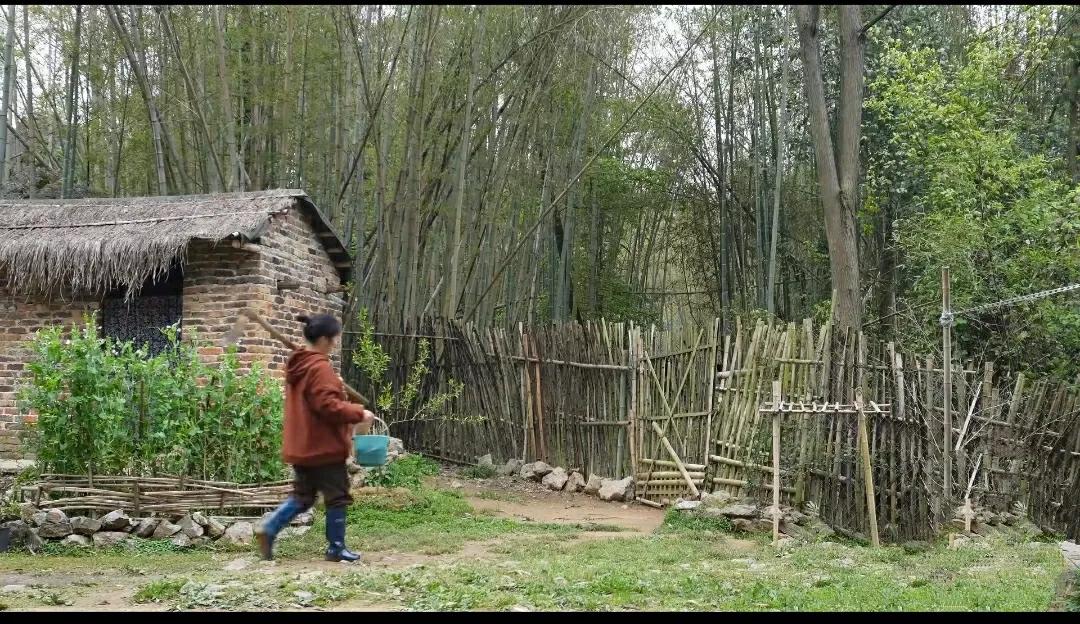 羁鸟恋旧林，池鱼思故渊，久在樊笼里，复得返自然……当时只道是寻常，如今已是诗中人