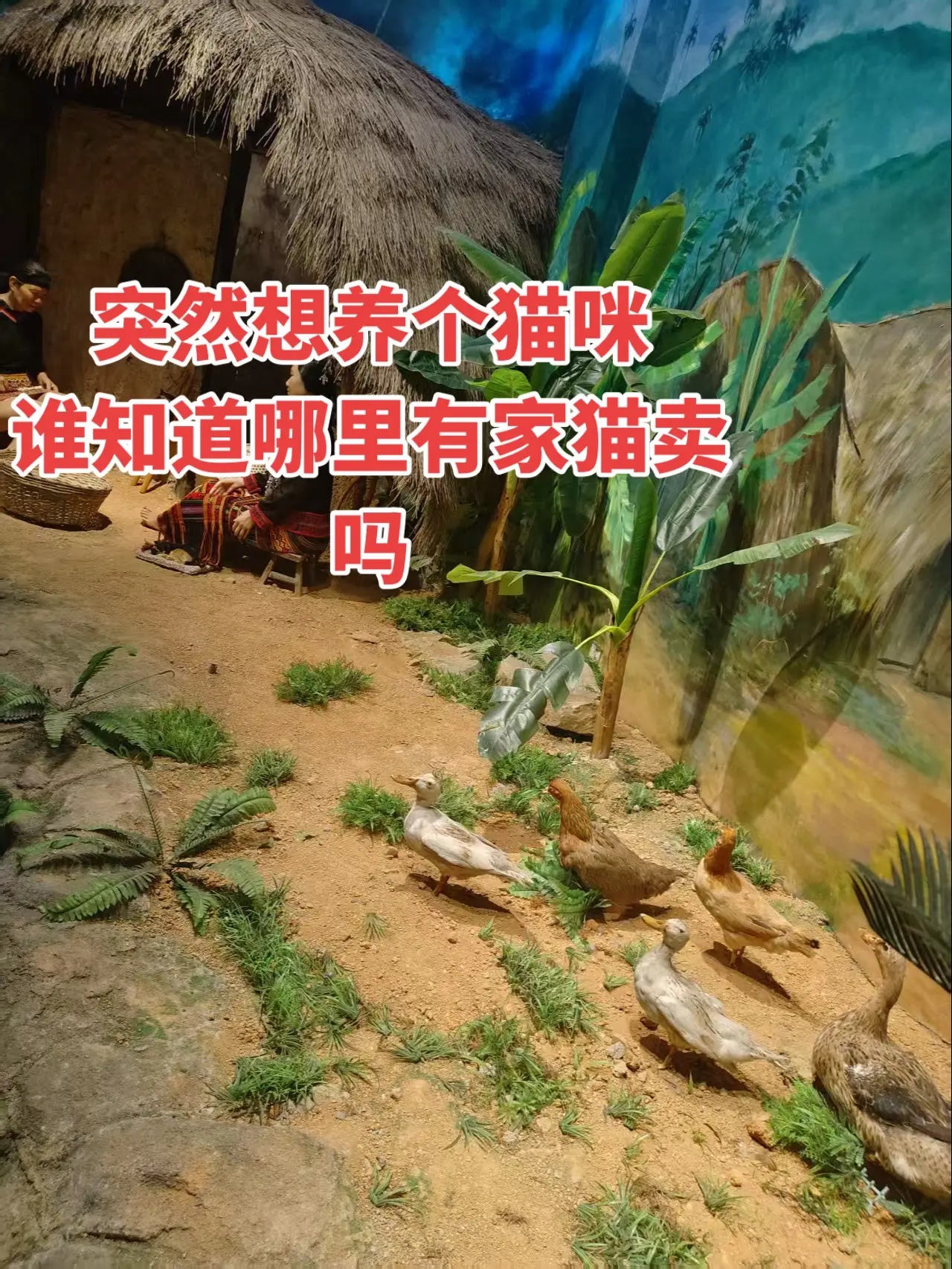 奇妙动物
