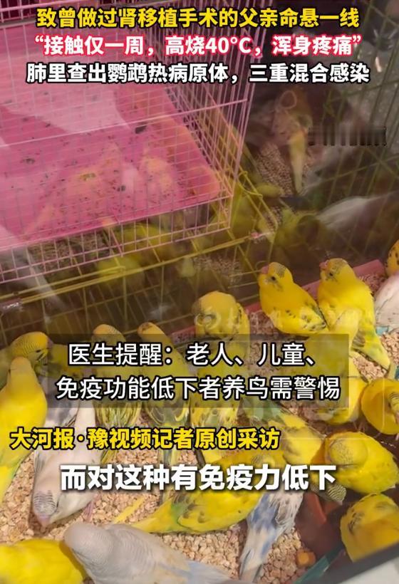 “好心办坏事！”河南，63岁父亲高烧40℃反复不退，真凶竟是儿子为尽孝送来的2只