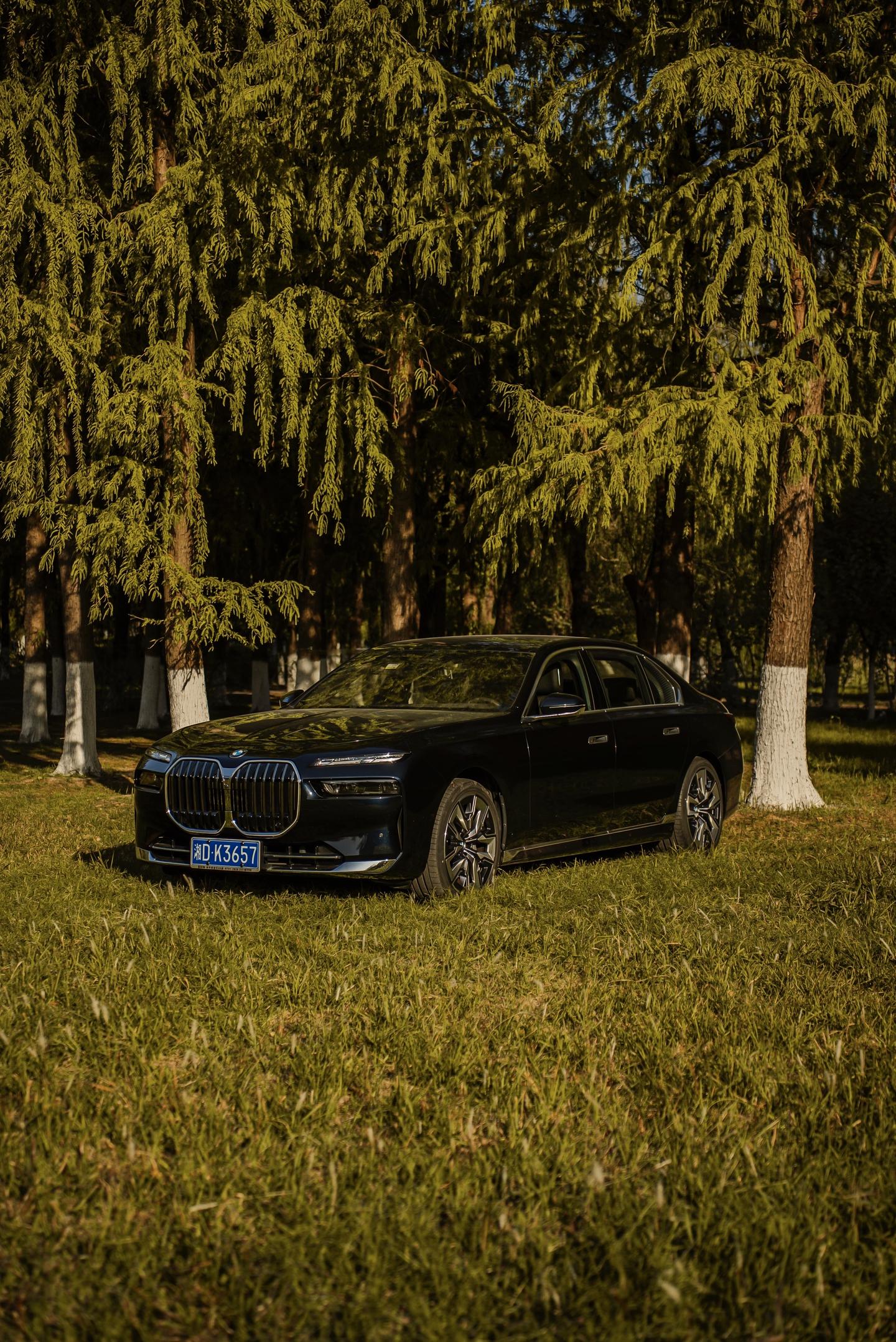 大鼻孔是为了替你出气，咪咪眼是为了傲视群雄！