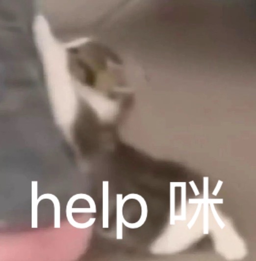 老大们！！！！二月猫前来求咚🙏help咪 