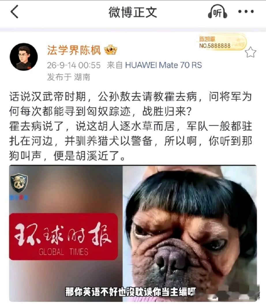批评可以，指责也可以，但是搞人身攻击，故意丑化胡锡进先生就有点儿过了吧，陈枫老师