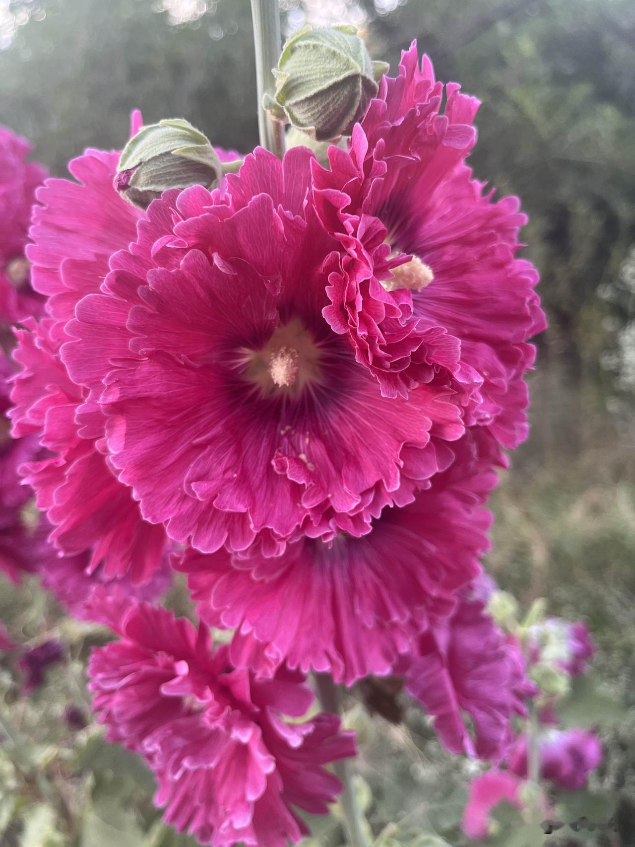 一点微光
点亮希望
一朵花香
芬芳你我
风轻轻的吹过我
一抹绿意一抹清新

鸟儿
